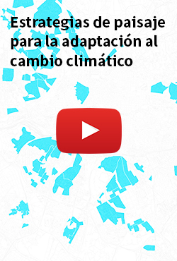 Estrategias de paisaje para la adaptación al cambio climático